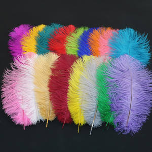 Plume d'autruche blanche 25-30 cm (10-12 pouces) DIY Plume moelleuse colorée petite décoration artisanale pour vente bon marché - Product Image 5