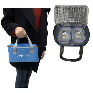 In Stock Nice Blue Color Daily Used Aluminum Foil Liner Durable Handle Outdoor Picnic Food Cans Thermal Cooler Bag Lunch Bag