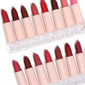 15 couleurs Simple lisse rouge à lèvres velours mat maquillage rouge à lèvres étanche Pigment longue durée rouge à lèvres - Product Image 3