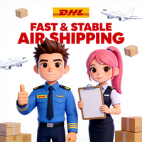 Internationale Logistik LCL+LKW-Transport DDP Versandagent Spediteur China FBA Lager USA Europa Gefahrgut Tür-zu-Tür
