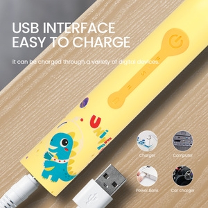 Silicone Baby <strong>Toothbrush</strong> With Led Light Cute Design Children Electric <strong>Kids</strong> Automatic Ultrasonic <strong>Toothbrush</strong> - Product Image 4