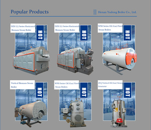 Chaudière générateur de vapeur industrielle verticale à biomasse (sciure de bois, granulés) de 500 kg, 1000 kg, 2000 kg, <span class=keywords><strong>prix</strong></span> Chine - Product Image 6