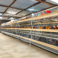 Nouvelle cage à poules pondeuses Agricon de type H, ferme avicole, alimentation et abreuvement automatiques, collecte des œufs, acier galvanisé à chaud, 96-160