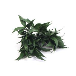 Plantes artificielles en plastique ignifuge Sunwing pour la décoration de la maison, des meubles, du jardin, des arbustes pour l'aménagement paysager - Product Image 5