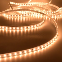Cordons lumineux LED Haute tension Bande LED AC230V IP65 DIY Lumières de Noël flexibles en forme de corde 50 100 mètres Lumière de corde LED d'extérieur