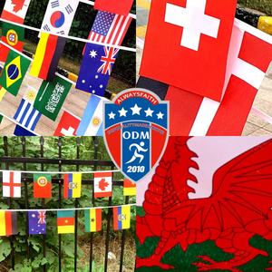 Bandera de los 32 Equipos de la Copa Mundial, Bandera Nacional de Poliéster de 12 m, Decoración Colgante para Fanáticos del Fútbol, Fiestas Deportivas, Decoración de Bares - Product Image 3