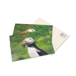 Bonne vente cadeau Souvenir hologramme <span class=keywords><strong>impression</strong></span> lenticulaire 3D cartes postales <span class=keywords><strong>photo</strong></span> personnalisée ville paysage cartes postales touristiques - Product Image 3