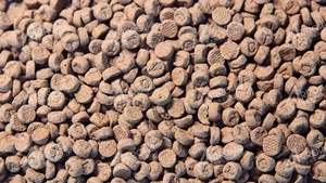 Machine de transformation d'aliments pour animaux de compagnie Shandong Arrow à pressage à froid pour la fabrication d'aliments pour chiens - Product Image 4