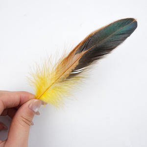 50 Plumes Colorées <span class=keywords><strong>de</strong></span> <span class=keywords><strong>Coq</strong></span> (12-20cm) <span class=keywords><strong>pour</strong></span> Coiffure Indienne, Décoration DIY, Jouet Amusant <span class=keywords><strong>pour</strong></span> Chat, Artisanat, Ornements, Vêtements - Product Image 3