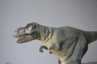 Costume de dinosaure animatronique personnalisé, modèles animatroniques, animatroniques d'Halloween, costume de raptor, costume de T-Rex géant