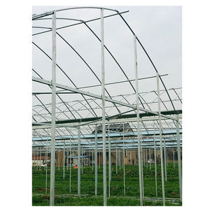 Melon Fruit Galvanisé Tuyau En Acier Cadre Multi-Span Agricole Serre Film Couverture Grande Taille Bonne Transmission De La Lumière - Product Image 2