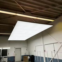 Panneau lumineux LED professionnel Softbox pour l'atelier de détail automobile, éclairage de garage, plafond, grande réparation automobile