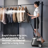 Vapeur de vêtement commercial électrique haute puissance nouvelle Machine à repasser à la maison conception verticale rétractable pour les vêtements à usage domestique