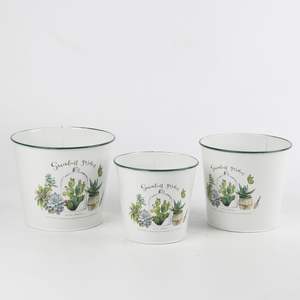 Usine vente directe blanc <span class=keywords><strong>Cactus</strong></span> élément métal Pot de fleur succulente planteur nouveau Style rond conteneur emballage/emballage cadeau - Product Image 2