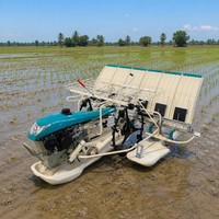 Transplanteuses de riz manuelles à 6 rangs, haute efficacité (0,2-0,26 ha/h), pour rizières, à faible consommation de carburant, vente en gros OEM ODM