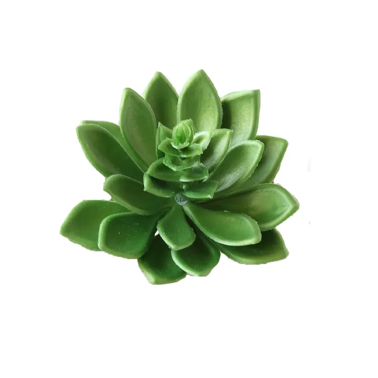 Factory Price Artificial Dried Flower Simulation False Succulent Flower Head Green Plants for Indoor decoration