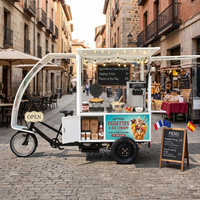 Tricycle Électrique à Trois Roues avec Pneus Larges pour Adultes, Vélo de Transport Urbain, Camionnette Tuk-Tuk, Camionnette Électrique pour la Restauration, Kiosque Mobile