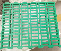 Nouvelle palette de sol en PP à lattes 100x50cm pour élevages de porcelets/moutons/poulets, usage domestique, multicolore, garantie 1 an, marque Maoshengyuan
