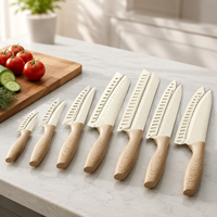 Nouvel ensemble de couteaux de cuisine 2026, ensemble de couteaux professionnels en acier inoxydable, 5 pièces, logo personnalisé, directement de l'usine