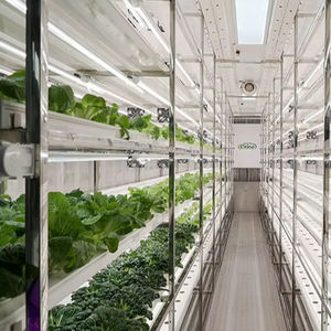 Sistema de Cultivo Hidropónico Vertical en Contenedores, Solución Hidropónica NFT en Contenedor de 40hq para Lechuga, Azafrán, Albahaca y Espinaca - Product Image 1