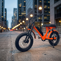 Fabricant OEM ODM, Vélo Électrique à Pneus Larges 1000w 750w avec Suspension Intégrale