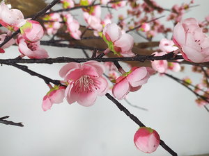 Tác phẩm nghệ thuật trang trí sân vườn nhà kiểu Trung Hoa, đồ trang trí nghệ thuật trong nhà, cây đào nhân tạo lớn, cây hoa mai đỏ, cây thông giả - Product Image 3