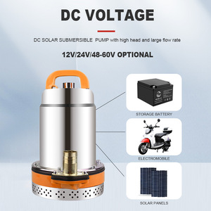 <span class=keywords><strong>Pompe</strong></span> à eau <span class=keywords><strong>solaire</strong></span> submersible 12V 24V 48V <span class=keywords><strong>pour</strong></span> drainage des eaux usées, piscine, <span class=keywords><strong>jardin</strong></span>, sous-sol inondé - Product Image 4