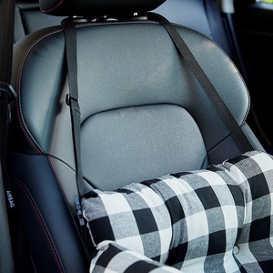 Siège de voiture pour animaux de compagnie classique à carreaux et rayures, 2-en-1, siège surélevé portable pour chien et sac de transport avec ceinture de sécurité pour chiens de petite et moyenne taille - Product Image 3