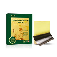 10 pièces/boîte – Patchs de moxibustion aux herbes pour le cou, les épaules, le dos, la taille et les jambes – Plâtre chinois pour le corps