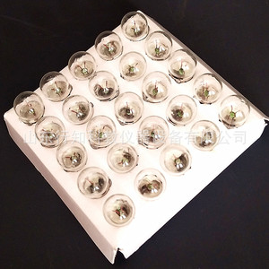 <b>Physics</b> experiment electrical light bulbs, 2.5V and 3.8V bulbs, teaching instrument manufacturer, old-fashioned flashlight - Product Image 4