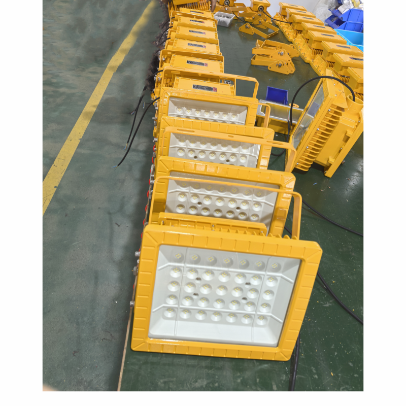 ATEX Hazardous Location Ceiling Mount Light Fixture 120W IP65 Die Cast Aluminum for Paint Booth Led Explosion Proof Flood Lights