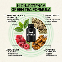 Capsules de brûleur de graisse à l'extrait de thé vert et au café vert en gros – Complément alimentaire pour la perte de poids et le soutien du métabolisme