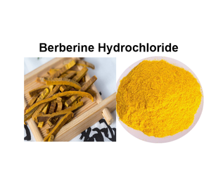 Capsule L-carnosina di alta qualità Private Label L-carnosina in polvere carnosina - Product Image 6