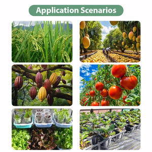 Apex Nitơ thủy canh nước hòa tan axit humic rong biển nông nghiệp phân bón lỏng DAP NPK Phân bón hữu cơ - Product Image 6