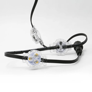 AOYING Fabrik preis IP68 DC 12V 24V Außen wasserdicht RGBW Permanent <span class=keywords><strong>LED</strong></span> Weihnachts beleuchtung <span class=keywords><strong>LED</strong></span> Punkt <span class=keywords><strong>Pixel</strong></span> Lichter für Haus - Product Image 1