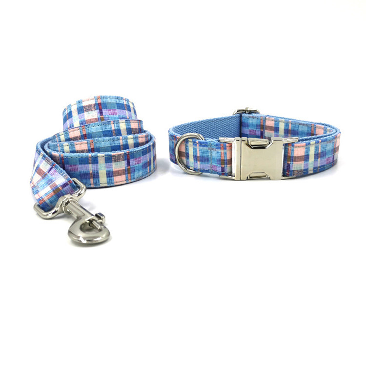 collar with leash 3