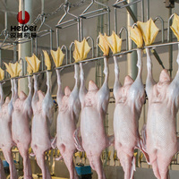 Ligne d'abattage de volailles personnalisée haute productivité en acier inoxydable 304 avec moteur et pompe pour la transformation du poulet