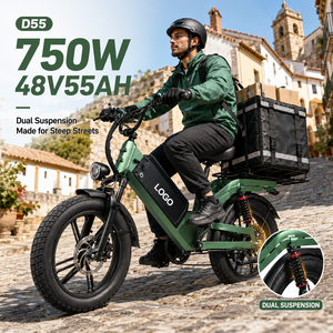 Bicicleta Eléctrica de Reparto con Asistencia al Pedaleo D55, 48V55Ah 750W, E-MTB, Neumático Grueso de 20'', 240km de Autonomía, Bicicleta de Carga OEM, Precio de Fábrica - Product Image 1