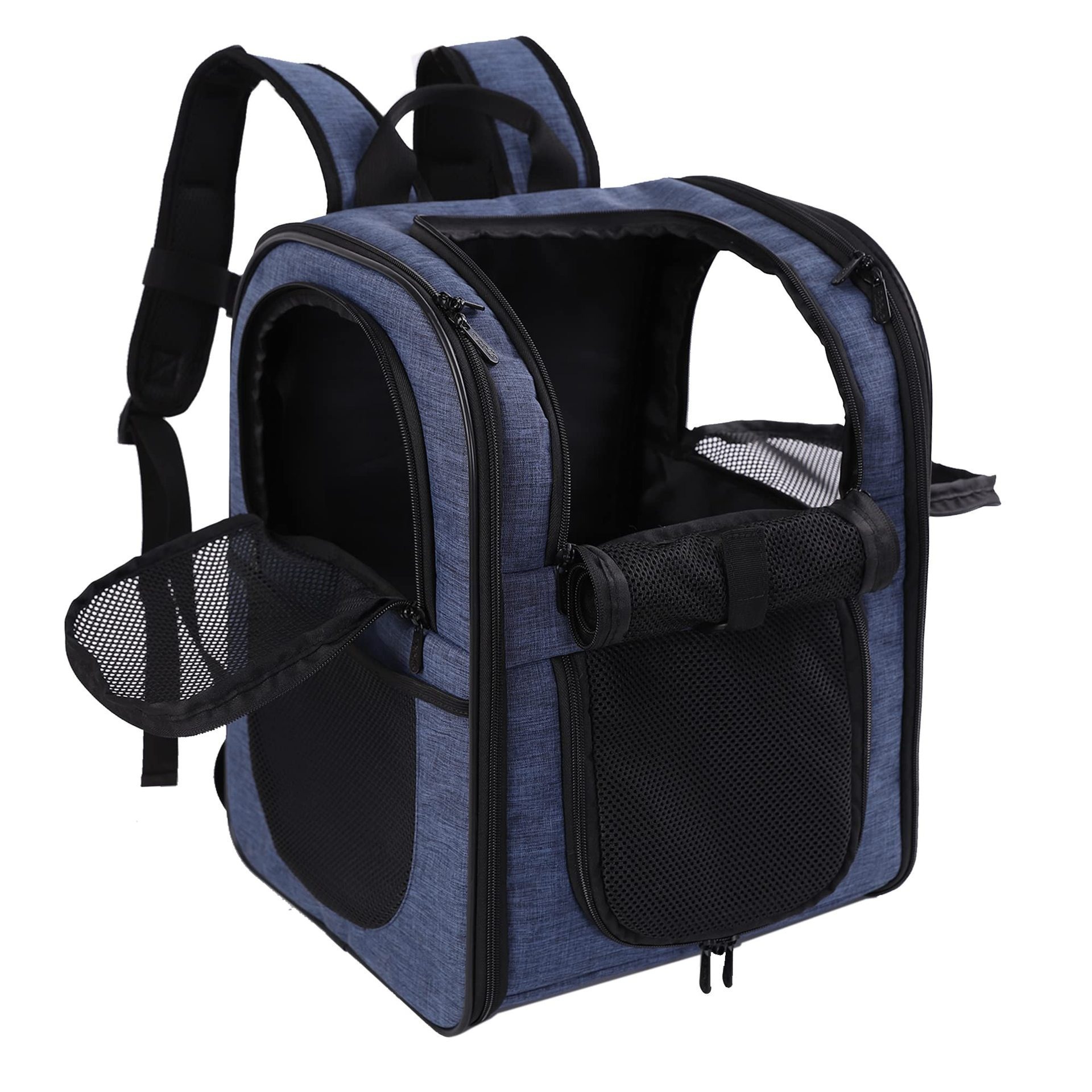 Style normal bleu