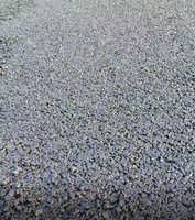 Sac de 25 kg – Choix Expert – Asphalte à froid de qualité professionnelle pour la restauration des routes en béton