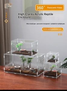 Caja <span class=keywords><strong>de</strong></span> <span class=keywords><strong>Cría</strong></span> para Reptiles, Transparente, Transpirable, Ecológica, Cerrada, Sólida, Personalizada, <span class=keywords><strong>de</strong></span> Acrílico, para Ranas y Arañas - Product Image 2