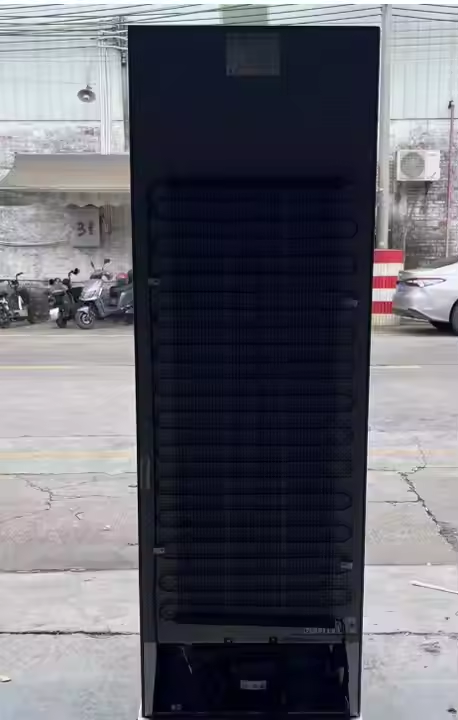 261L double-door stainless steel refrigerator with bottom freezer, suitable for home and hotel use, electric compressor cooling.