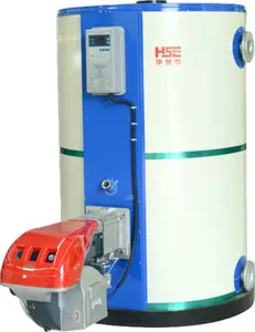 Caldera de agua caliente eléctrica de uso doméstico alimentada por gas combustible pequeña mini caldera de agua caliente de gas natural caldera de agua caliente instantánea
