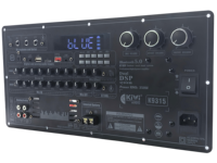 Audio-Leistungsverstärker PCB-Platine 9.0 Karaoke-Verstärkermodul mit MIC USB TF AUX Funktion