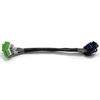 Harnais de câblage automobile personnalisé à conducteurs en cuivre, multi-connecteurs, 20AWG, 150mm, avec borniers à brancher