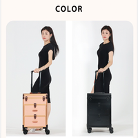 Chariot cosmétique beauté valises maquillage sac de voyage étui noir femmes extérieur roulettes fixes Profession aluminium bagages aluminium