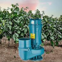 Pompe submersible AC à immersion dans l'huile 750W 1CV, sortie 2 pouces, 20m, 380V, haute pression, grand débit, pour irrigation agricole et applications industrielles automobiles