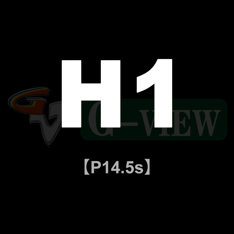 H1