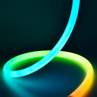 Bande de néon à diode flexible en silicone personnalisée en gros 2300k-6000k LED Pixel Tube Neon D22 mm RGBW LED Neon Lights