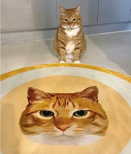 Dropshipping personalizzato gatto cane velluto tappeto di lusso dipinto a mano stile cartone animato Designer ritratto personalizzato per animali domestici Souvenir - Product Image 5